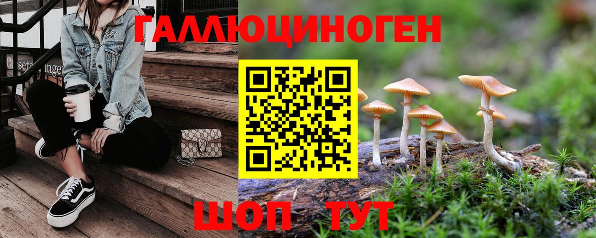 Лениногорск  Галлюциногенные грибы мухоморы  Вход с VPN 