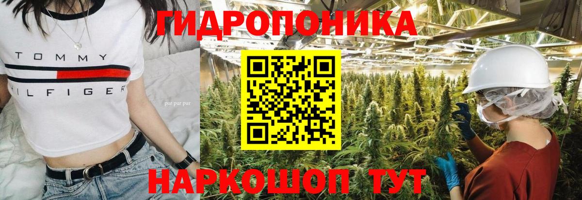 Бошки марихуана AK-47  Каннабис Amnesia  Лениногорск  Бошки марихуана гибрид  Вход с VPN 